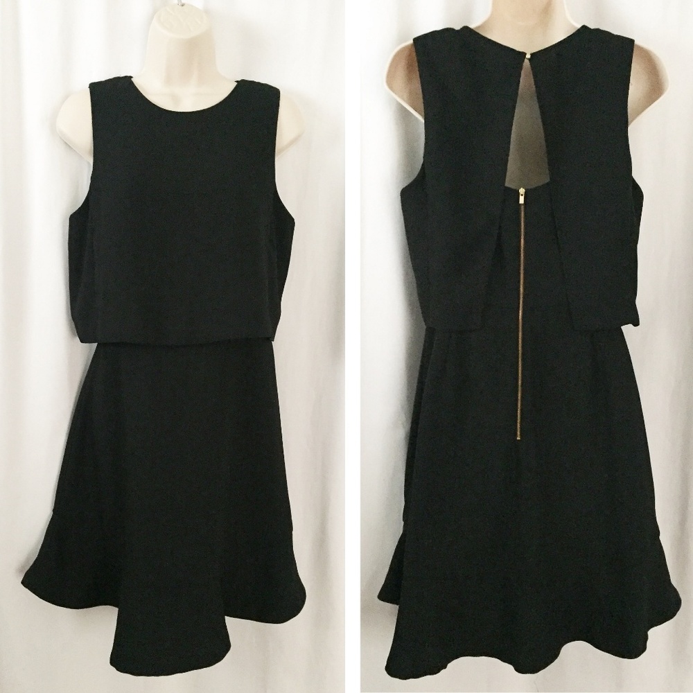 Banana Republic Flounce Cut Out Fit & Flare Dress